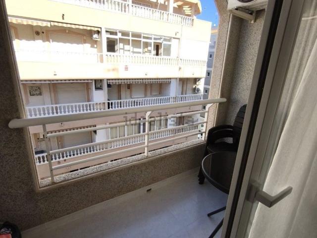 Piso, Avenida Habaneras Curva de Palangre, Torrevieja