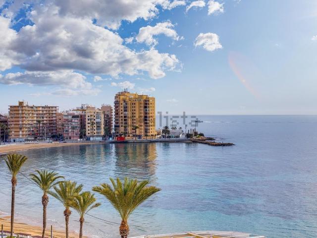 Piso, Avenida Habaneras Curva de Palangre, Torrevieja
