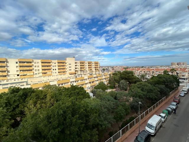 Piso, Avenida Habaneras Curva de Palangre, Torrevieja