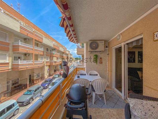 Piso, Avenida Habaneras Curva de Palangre, Torrevieja