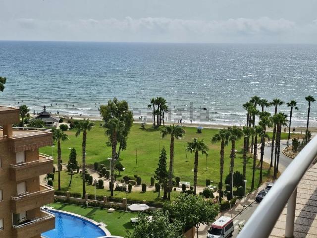 Piso, Acapulco, Oropesa del Mar