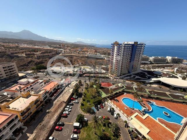 Piso, Adeje