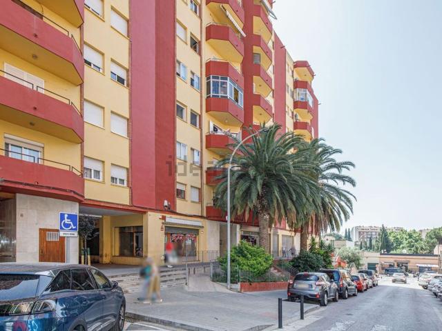 Piso, Alcanar