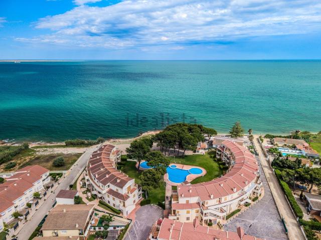 Piso, Alcanar