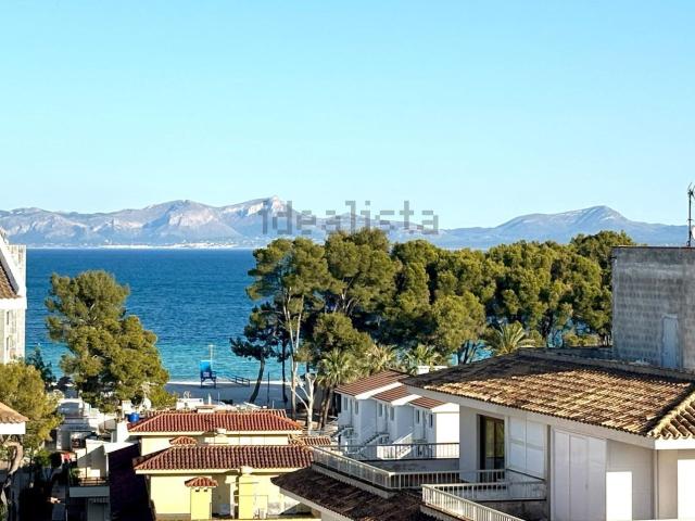 Piso, Alcúdia