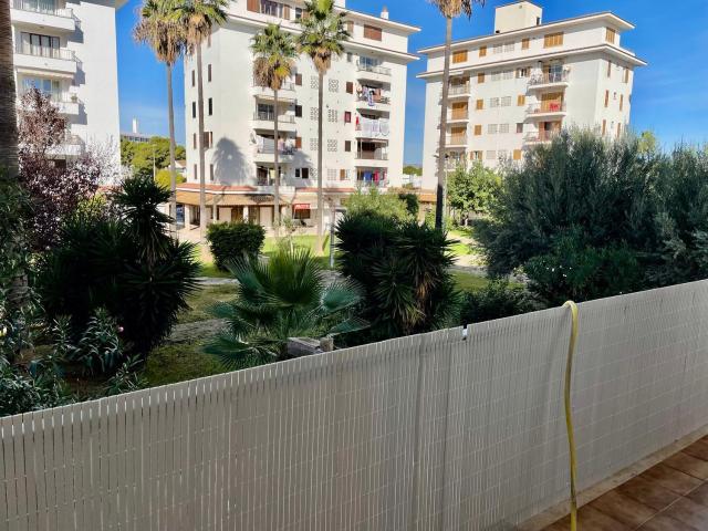 Piso, Alcúdia