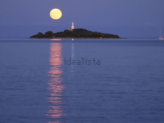 Piso, Alcúdia
