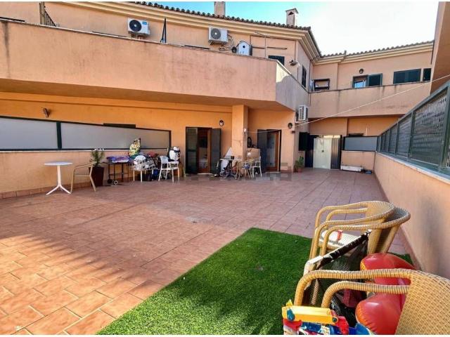Piso, Alcúdia