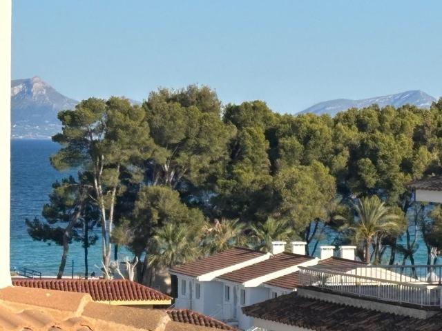 Piso, Alcúdia