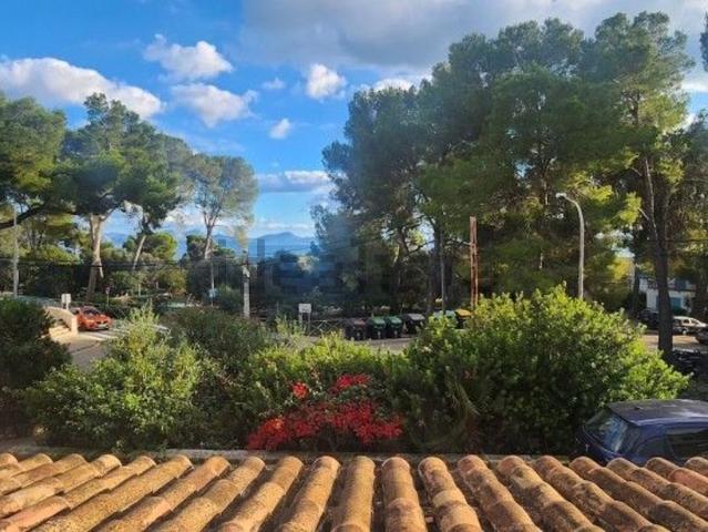 Piso, Alcúdia