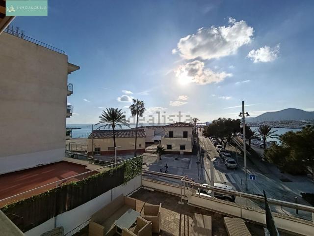 Piso, Alcúdia