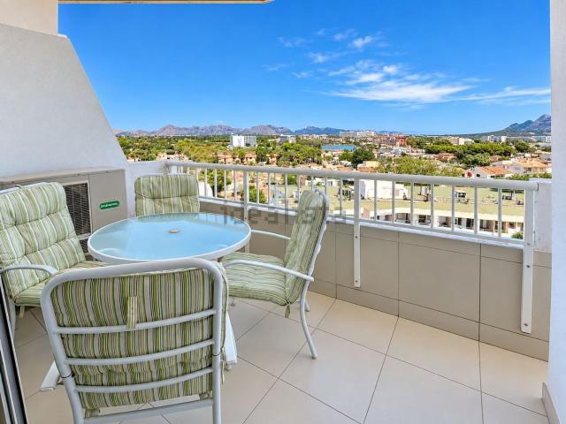 Piso, Alcúdia