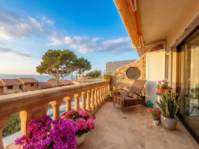 Piso, Alcúdia