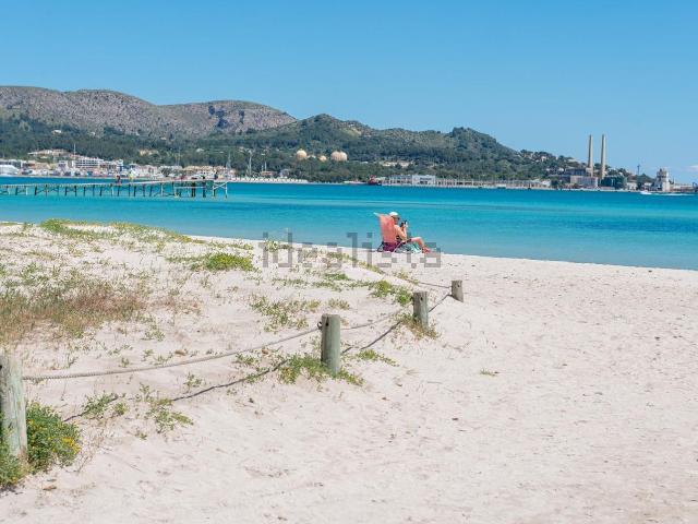 Piso, Alcúdia