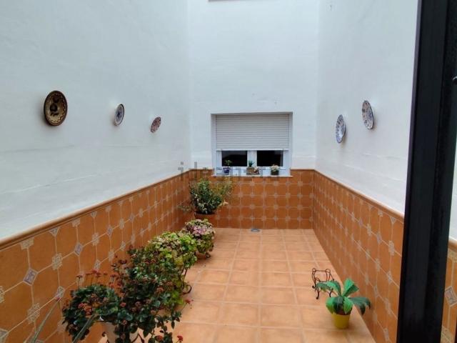Piso, Alameda