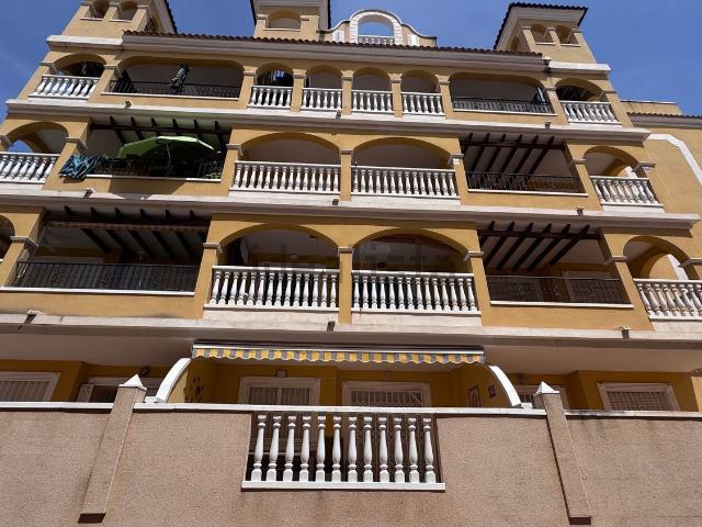 Piso, Algorfa