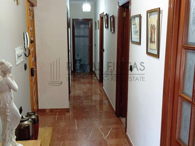 Piso, Algarinejo