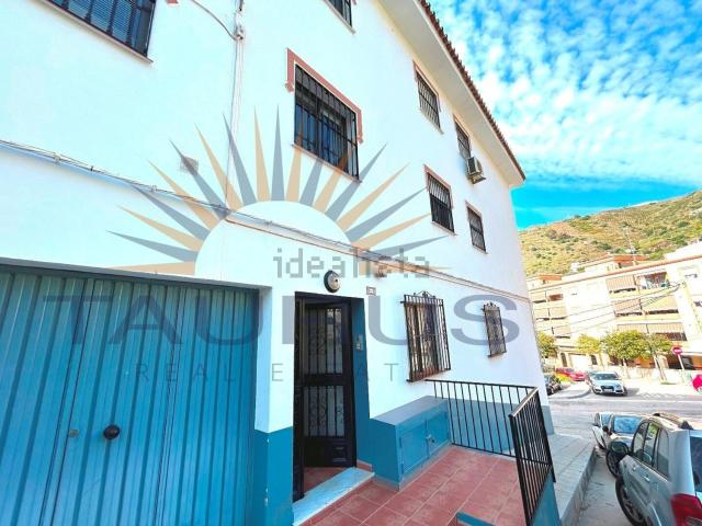 Piso, Algarrobo