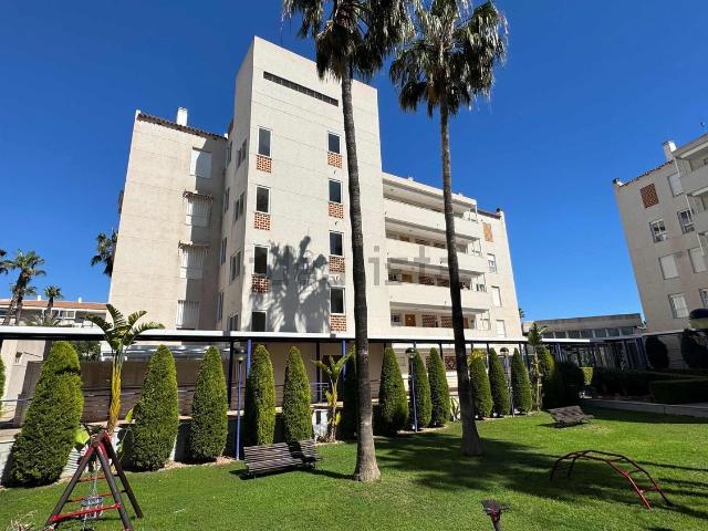 Piso, Alfaz del Pi