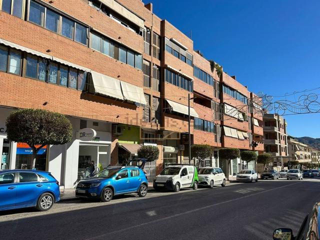 Piso, Alfaz del Pi