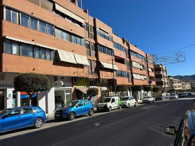 Piso, Alfaz del Pi