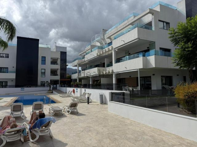 Piso, Alfaz del Pi