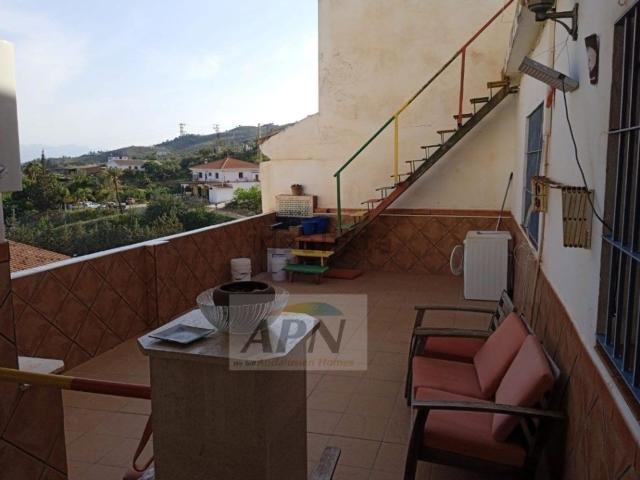 Piso, Alora