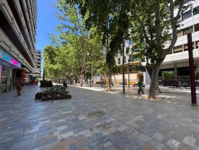 Piso Alquiler Murcia Capital, La Fama