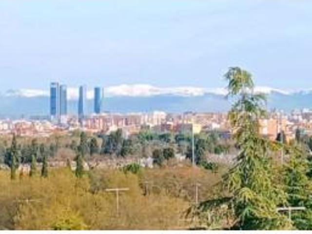 Piso Alquiler Madrid Capital, Marroquina