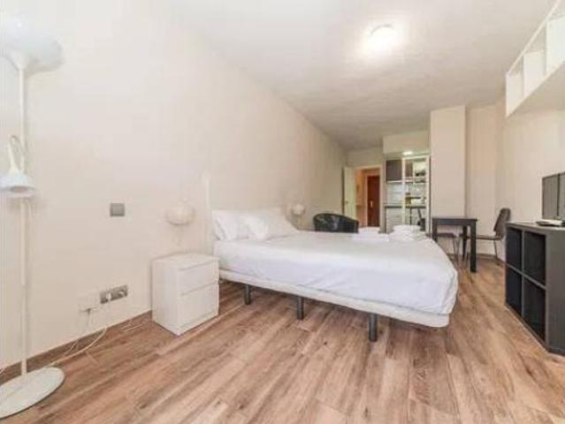Piso Alquiler Madrid Capital, Castilla