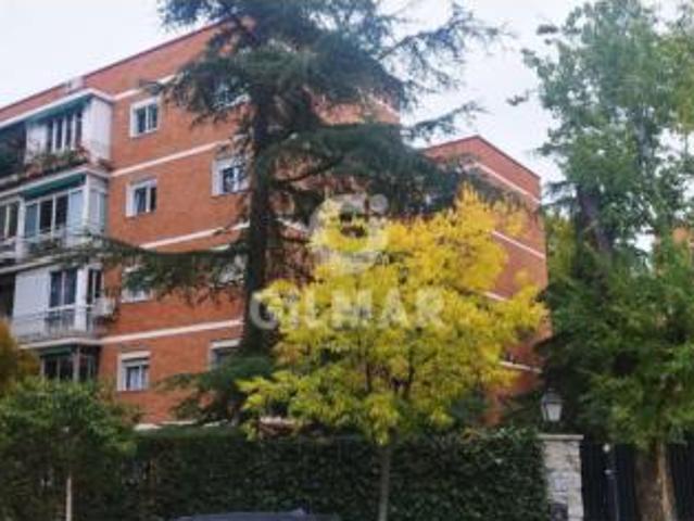 Piso Alquiler Madrid Capital, Castilla