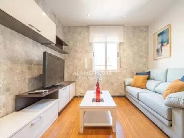 Piso Alquiler Madrid Capital, Guindalera