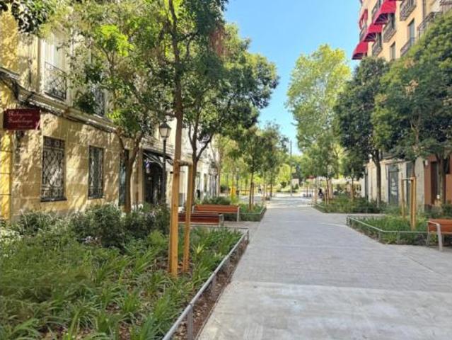 Piso Alquiler Madrid Capital, Trafalgar