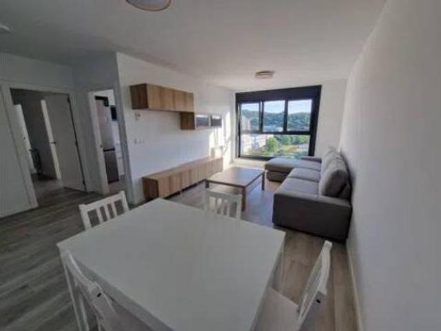 Piso Alquiler A Coruña Capital, Elviña Barrio Flores Matogrande Someso