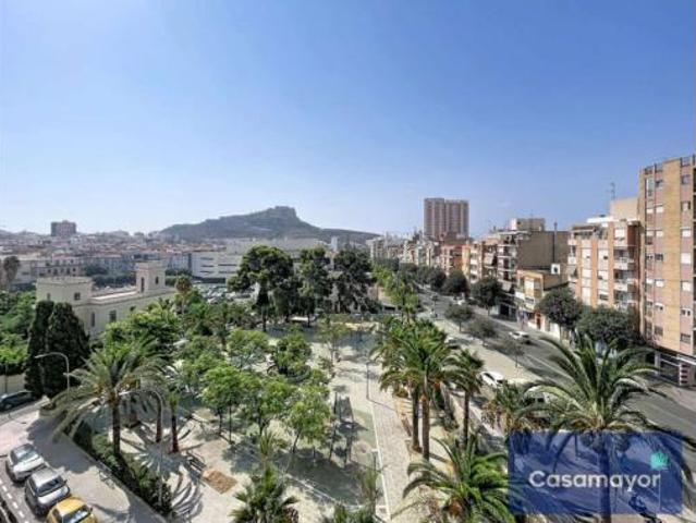 Piso Alquiler Alicante Alacant, Campoamor