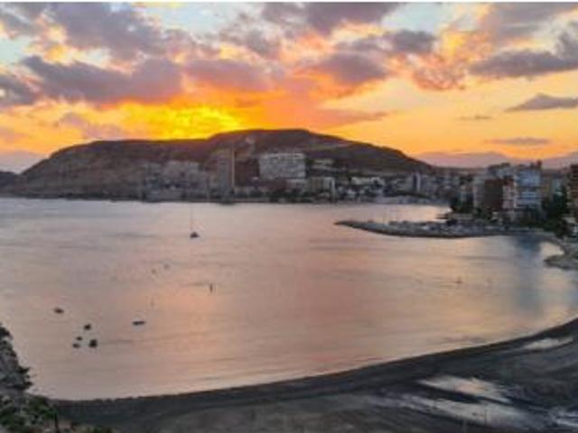 Piso Alquiler Alicante Alacant, L'Albufereta
