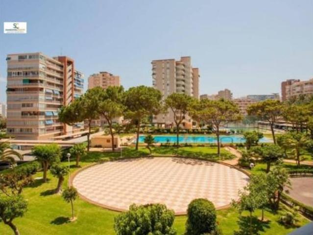 Piso Alquiler Alicante Alacant, Playa de San Juan