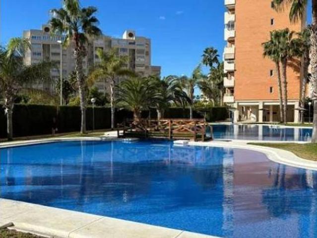 Piso Alquiler Alicante Alacant, Playa de San Juan