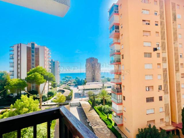 Piso Alquiler Alicante