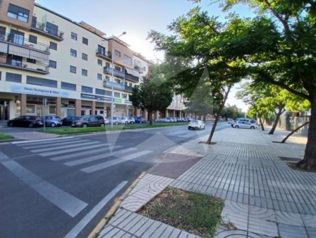 Piso Alquiler Badajoz Capital, Huerta Rosales Valdepasillas