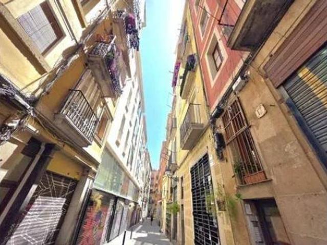 Piso Alquiler Barcelona Capital, El Raval