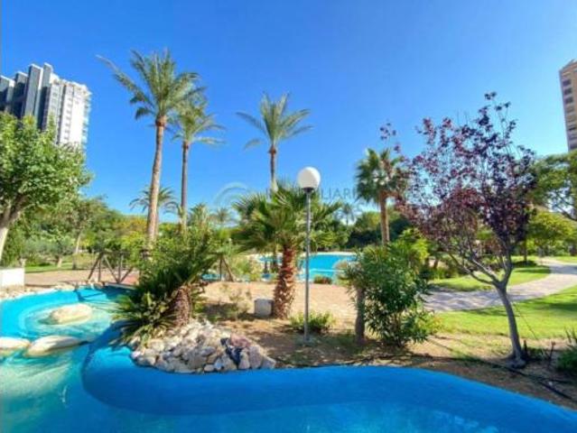 Piso Alquiler Benidorm, Platja de Ponent