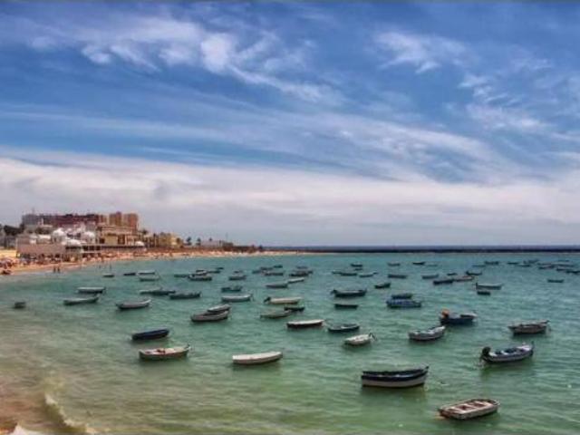 Piso Alquiler Cádiz Capital, Centro Histórico