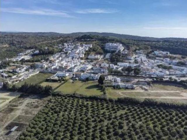 Piso Alquiler Callosa de Segura, Barrio San Roque