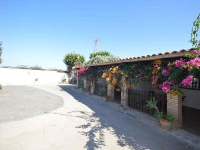 Piso Alquiler Conil de la Frontera, Conil de la Frontera