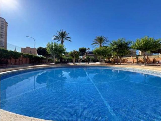 Piso Alquiler El Campello, El Campello