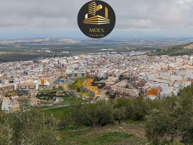 Piso Alquiler Jaén