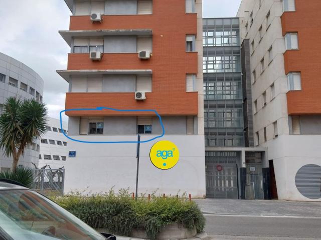 Piso Alquiler Jaén