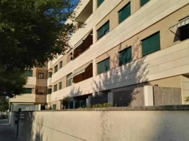 Piso Alquiler Jerez de la Frontera, Norte