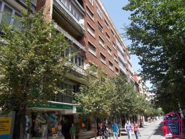 Piso Alquiler León Capital, Centro Ciudad